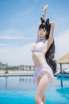 电视剧真心英雄多少集